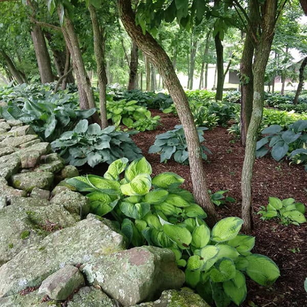 Schnormeier Gardens | Japanese Style Garden in Gambier, OH